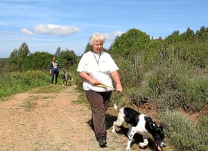 voluntarios refugio perros valverde (4)