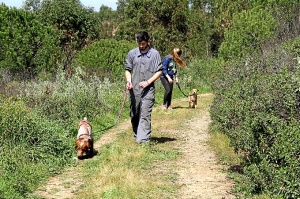 voluntarios refugio perros valverde (5)