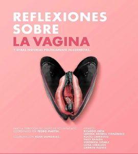 Obra 'Reflexiones sobre la vagina'