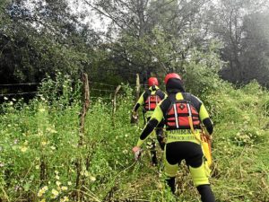 rescate bomberos arroyo Almonte