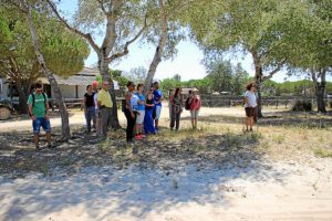 Curso Redescubrir la naturaleza