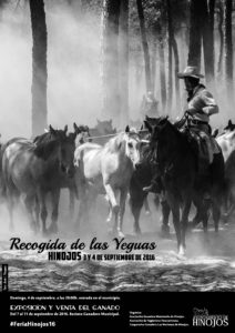 RECOGIDA YEGUAS 2016