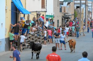 fiestas Niebla