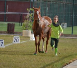 III Raid Hípico en Punta Umbría.