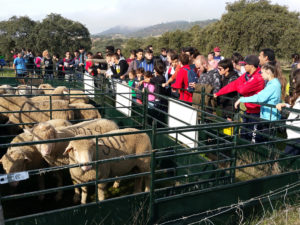 Encuentro Juvenil 1