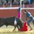 Toros en Lucena del Puerto 3