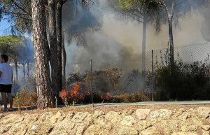 Incendio en campo de golf de La Dehesa 1