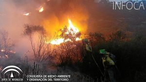 Incendio en La Granada de Riotinto (1)