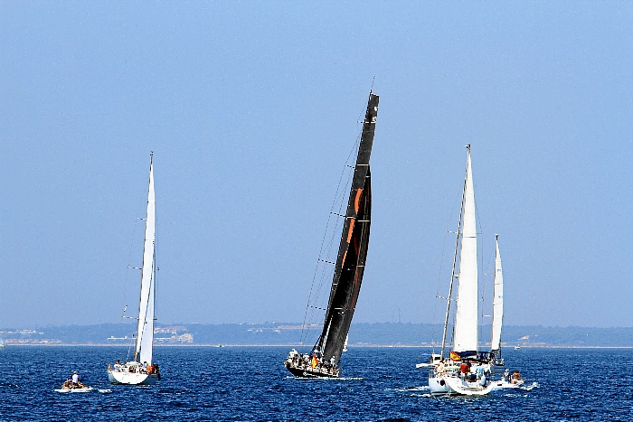 Regata 3