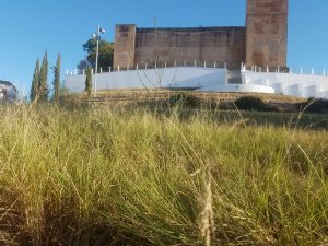 PSOE Cartaya reclama arreglos en zona Castillo (3)