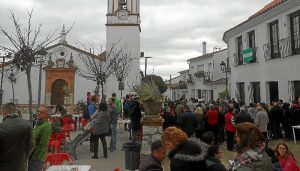 Cortelazor (1)