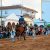 120318 FERIA CABALLO BALANCE 12