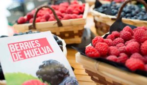 berries y frutos rojos de Huelva UPA