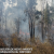 Incendio en Valverde del Camino