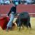 Toros en Almonte 12