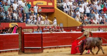 El toro indultado es encaminado hacia los toriles por Perera.