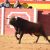 toros palos 13