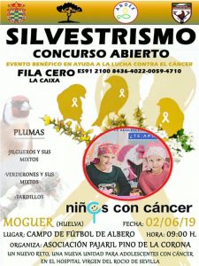 cartel silvestrismo solidario