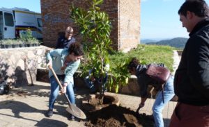 JORNADA BARRIADA ERITAS 2020