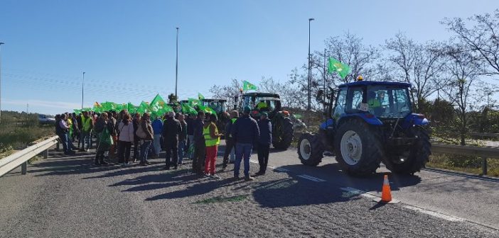 protesta agricultores huelva 2