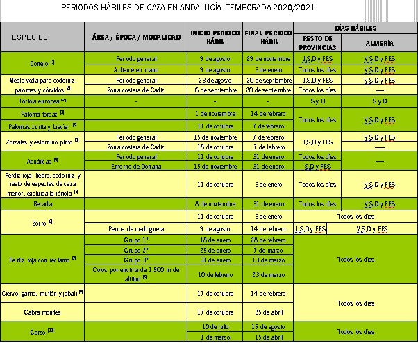 periodos caza