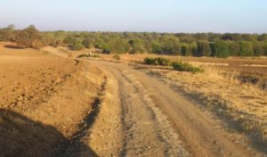 caminos rurales