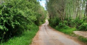 Vías Verdes Turismo