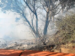 El incendio ha obligado al desalojo de Arrabales en Huelva 2