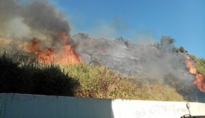 Incendio en las laderas del Conquero