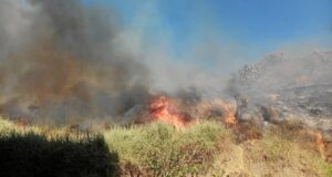 Incendio en las laderas del Conquero1