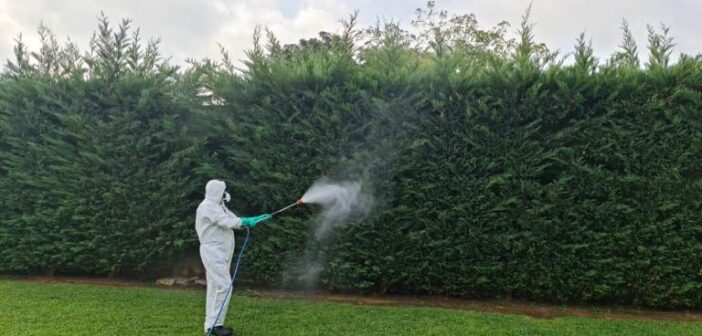 Fumigacion en Lepe contra los mosquitos por el Virus del Nilo 1
