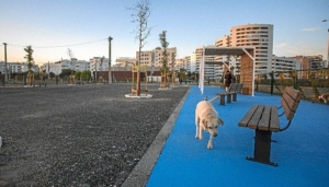 area canina Pescaderia 3