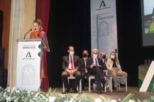 Huelva entrega sus Banderas de Andalucía por el 28-F