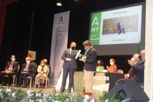 Huelva entrega sus Banderas de Andalucía por el 28-F