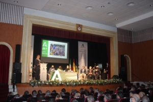 Huelva entrega sus Banderas de Andalucía por el 28-F