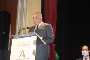 Huelva entrega sus Banderas de Andalucía por el 28-F