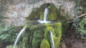 aracena protesta agua