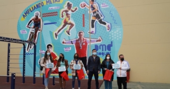 El Patronato de Deportes de Moguer se viste con un gran mural sobre deporte inclusivo