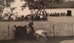 ¿Sabías que Trigueros tuvo un coso taurino junto al Dolmen de Soto?