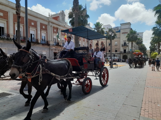 Multitudinaria salida de la Hermandad de Huelva camino del Rocío