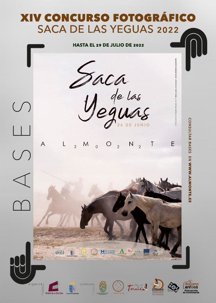 Almonte convoca el XIV Concurso Fotográfico Saca de las Yeguas