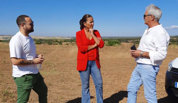 Visita virtual al yacimiento arqueológico de Tejada la Vieja