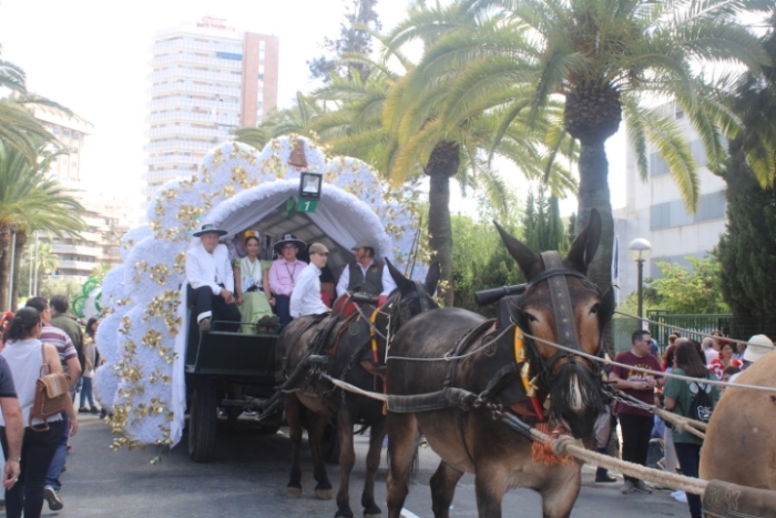 Multitudinaria salida de la Hermandad de Huelva camino del Rocío