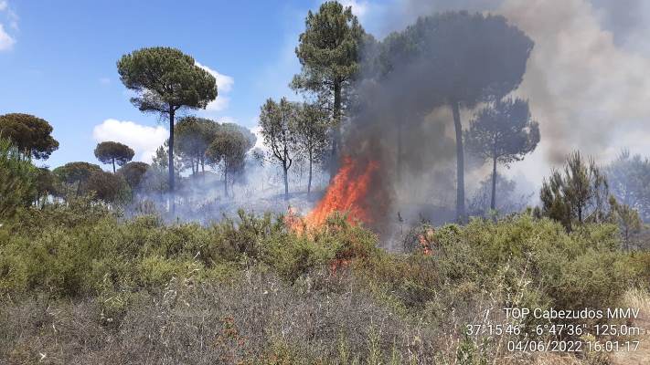 Extinguido un incendio en el paraje 'La Charca', en Moguer