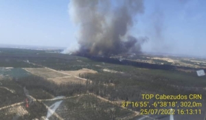 incendio forestal bonares