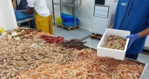 exportaciones pescado marisco suben