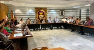 pleno-punta-medidas-en-favor-de-el-portil