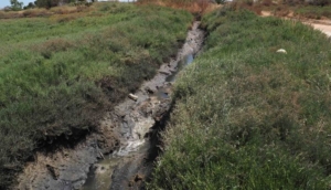 Vecinos de Cartaya estudian movilizarse tras años de malos olores obras colector