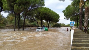 Independientes por Aljaraque urge a la limpieza del arroyo del Chorrito