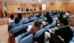 La Abogacía andaluza reclama más medios para luchar contra la violencia de género